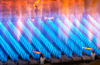 Pucknall gas fired boilers